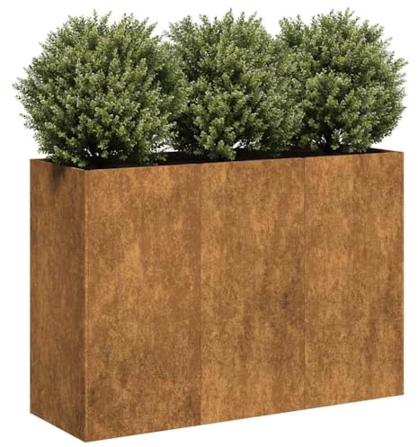 Emmtore Jardinera oxidada 120x40x80 cm Acero corten
