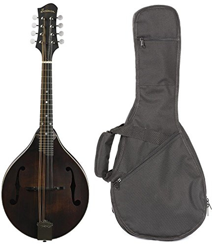 Eastman Guitars MD305 A-style Mandolin - Classic