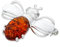 AMBEDORA Broche Abeille en Argent Pour Femme avec Ambre, Ambre Baltique Naturel Cognac, Argent Sterling 925 Poli, Coffret Cadeau