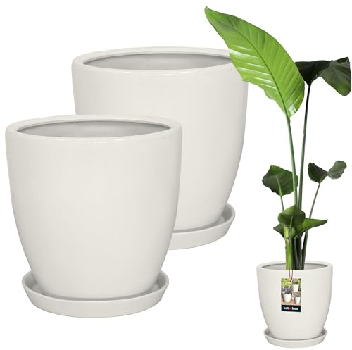 KOTARBAU® Pot De Fleurs Blanc De ⌀ 31 Cm Avec Soucoupe |Pot De Fleurs Et D'Herbes En Céramique Émaillée |Cache-Pot |Pot Bonsai Céramique |Pot Bonsai Ceramique |Pot À Bonsai |Pot Céramique Plante