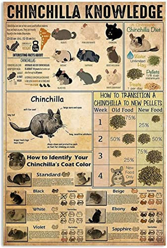 FJQWKLF Vintage Pet Shop Decor Chinchilla Wissen Metallschild Chinchilla Informationstafel Bauernhof Zuhause Wandbehang Dekoration Blechschilder 8x12 Zoll