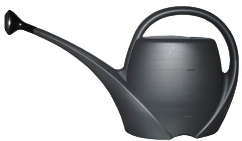 Gardenico Gießkanne und Blumensprüher Spring 4,5 L, anthrazit/grau