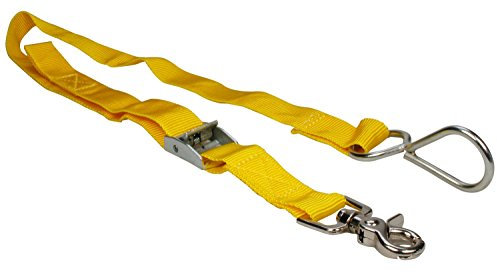 Cartrend 70355 Kofferraumspanngurt zum Transport mit offener Heckklappe