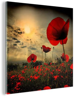MuchoWow Glasbild Glasfoto Wandbild Bilder Deko 50x50 cm Mohnblumen am Abend