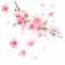2 adesivi in vinile per auto, motivo fiori di ciliegio, copertura antigraffio rosa, decalcomania paraurti per auto, moto, decorazione per la casa