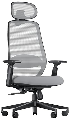 ProtoArc EC200 Ergonomischer Bürostuhl mit Verstellbarer Sitztiefe, Grau | Schreibtischstuhl Lendenwirbelstütze Höhen- und Tiefenverstellbarer, 3D-Kopfstütze, 55D-Schaum, Mesh Computerstuhl Homeoffice