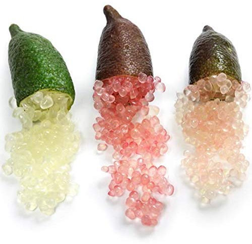 Portal Cool 4: 20Pcs frutta tropicale semi Finger Limes Citrus melograno Per la casa Giardino Balco