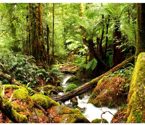 decomonkey Fototapete selbstklebend Wald Natur 392x280 cm XL Selbstklebende Tapeten Wand Fototapeten Tapete Wandtapete klebend Klebefolie Wasserfall Landschaft