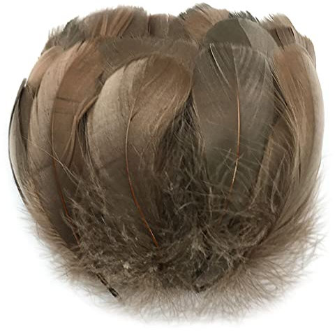 Uposao 200 Stück Natur Gänsefedern, 6-12cm Natürliche Naturfedern Gänsefedern zum Basteln DIY Deko Federn für DIY Traumfänger Ohrringe Karneval Fasching Kostüm Verzierungszubehör,Kaffee