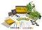 DIBYS Kit Jardineria Niños | Set Completo de Jardinería con Semillas de Flores para Té, Herramientas de Madera, Tierra, Colores y Caja de Cultivo para Pintar | Idea de Regalo | Kit Plantas