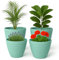 Mypicompany. Maceteros Decorativos Interior y Maceteros Grandes Exterior - Macetas Grandes Verde Turquesa 2X30cm + 2X25cm. Macetas Plastico con Drenaje - Tiestos para Plantas.