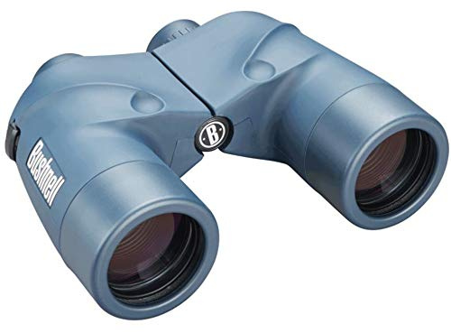 Bushnell