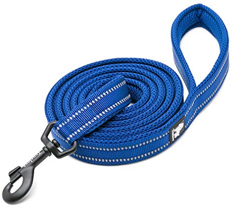 WINHYEPET Dog Leash Nylon Reflective,110cm Length(Royal Blue,L) | Truelove Comfortable Handle Lead Puppy Training Walking Rope Easy Control Suitable Small Medium Large Breeds
