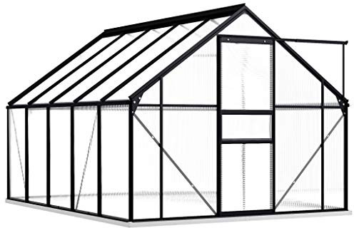 Tidyard Serre de Jardin Polycarbonate/Serre de Jardin 5,89 m² avec Cadre de Base Anthracite Aluminium