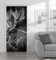 MyMaxxi - Tür bekleben mit Türtapete Türposter Türfolie Selbstklebend 90x200 Pusteblume Schwarz Weiß - Tür verschönern mit Türfolie - Türaufkleber - Türposter Türklebefolie Samen Löwenzahn