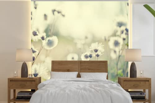 MuchoWow Papier peint Fleurs - Champ - Blanc Papier peint photo 260x260 cm Papier peint imprimé