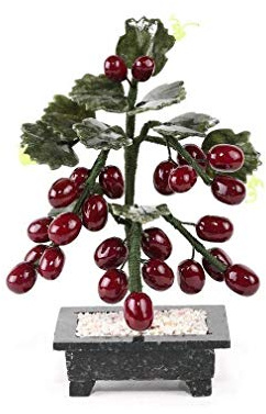 Lachineuse - Planta Decorativa de Vid de UVA (Feng Shui)