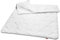 sleepling 4 Jahreszeiten Bettdecke 160x210 cm, Made in EU, Ökotex 100, Waschbar 60 Grad, Vierjahreszeiten Steppdecke 160 x 210, 100% feine Mikrofaser, Basic 100