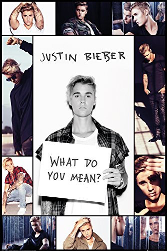 Justin Bieber - What do you Mean II