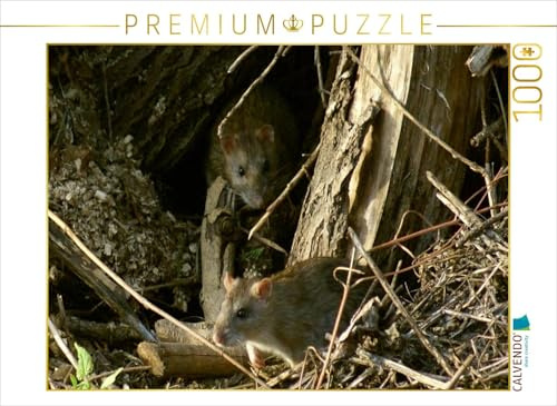 CALVENDO Puzzle Zwei Wanderratten | 1000 Teile Lege-Größe 64 x 48 cm Foto-Puzzle für glückliche Stunden