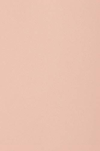 Netuno 100 Blatt Tonkarton Hellrosa DIN A4 21 x 29,7 cm 250g Burano Rosa edler Farbkarton für Verpackungen Karten Einladungen Papierboxen Schachteln Dekorkarton Bastelkarton farbig