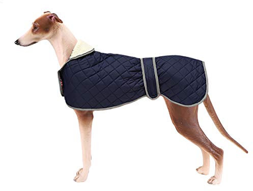 Geyecete - Windhund Warmer wintermantel, Hundemantel mit Dickes Steppfutter, verstellbaren Outdoor Hundejacke mit Geschirr Loch für mittel große Windhunde Whippet Lurcher Saluki -Blau-S