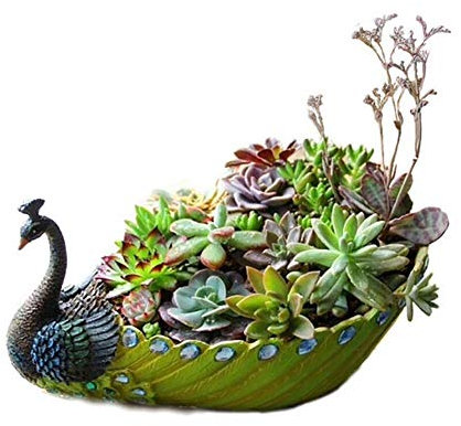 J-ouuo Plant Pot Handmade Resin Peacock Succulent Planter Pot Cactus Planter Flower Pot Container Vintage Decorative Succulent Planter Home Desktop Decr
