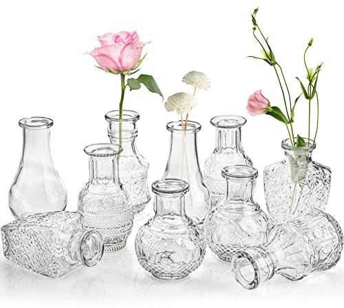 DEAYOU 10-Pack Clear Glass Bud Vases, Small Flower Vase for Centerpiece, Tiny Vases for Flowers, Mini Floral Bottle Short Vase for Decor, Tea Party, Table, Plants, Home, Wedding, Gift, Assorted Shape