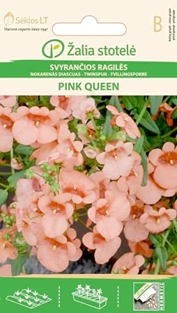 Seklos LT | ELFENSPORN PINK QUEEN | Einjährig Pflanze | Blumensamen | Die Blüten sind 1,5–2 cm | Pflanzensamen | 1 Pack