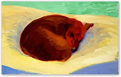 XCPORA David Hockney Poster Stillleben Hund Wandkunst David Hockney Drucke David Hockney Leinwand Malerei für Home Wanddekoration Bild 60x80cmx1 Kein Rahmen
