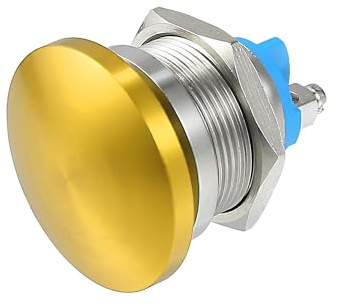 QUARKZMAN Momentaner Druckknopfschalter Gold 1pc 22mm Für Auto Metall | Silberton, Spannung: 12V-250V, Durchmesser: 3cm, Länge: 3.5cm, Kopfform: Rund, Für Autogeräte, Automobilteile