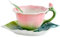Philo Fun Pink Rose Floral Teacup and Saucer Set for Women, 5.6 Oz Enamel Porcelain Rose Flower Shaped Tea Cup with Spoon