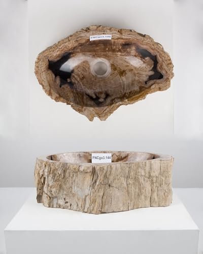 Lavabo de madera fósil 40-50 cm redondo en marrón de WOHNFREUDEN