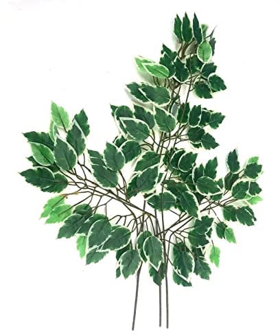 3 Artificial Faux Variegated Green Ficus Tree Leaf Sprays/Branches - 60cm