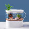 Mini Acuario Farmer Fish con acuaponía