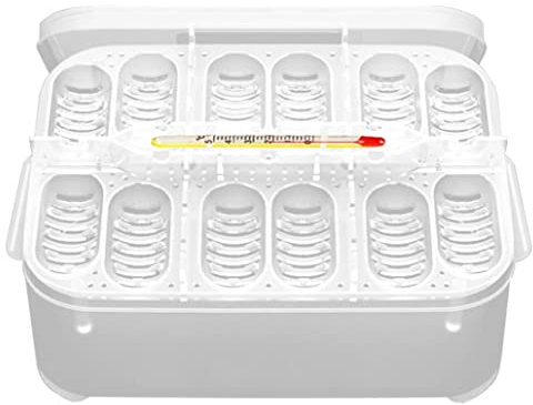 Incubateur Reptile, boîte d'incubation Reptile incutile incubateur Plateau d'éclosion avec 12 grilles pour Les lézards de Gecko de Tortues