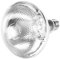 Haofy Poultry Heat Lamp, Waterproof Thick Heat Light Bulb for Pig Piglet Pet Brooder Coop Chicken Duck, Explosion-Proof Light Bulb Dot (Silver 175W)