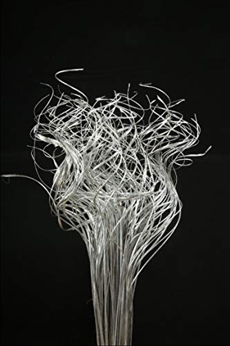 Floralcraft 50 Stems Curly Ting Ting - Silver, Christmas Decorations Ting Ting Branch Vase Filler Xmas Tree Garland Wreath Decoration, Wedding, Holiday Home Décor
