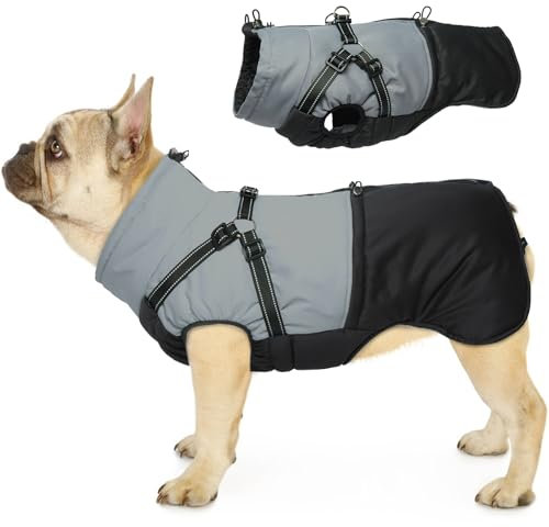 Hjumarayan Hundemantel für Kleine Hunde, Hundemantel mit Geschirr Wintermantel Klein Hunde Mantel Gefüttert, Hundejacke Wasserabweisend und Warm Mantel Winter, Schwarz M