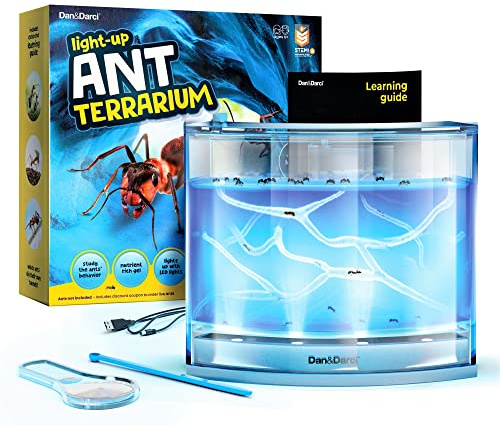 Light-up Terrarium Kit for Kids – LED Ant Habitat with Nutrient Rich Gel - Watch Ants Dig Tunnels - Nature Learning, Science Toys, Experiment Gift for Boys & Girls