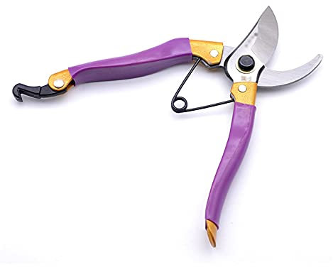 Sécateur Plantes d'intérieur Sécateur de jardinage, qui peut couper des branches de 3 cm de diamètre, des arbres fruitiers, des fleurs, des branches et des ciseaux Outils à main (Color : Purple)