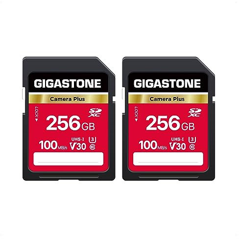 Gigastone 256 Go Lot de 2 Carte SD Camera Plus, Carte mémoire SDXC V30 Haute Vitesse vidéo UHD Compatible avec Appareil Photo numérique Canon, Nikon, Sony, Pentax, Kodak, Panasonic, avec 2 Mini étuis