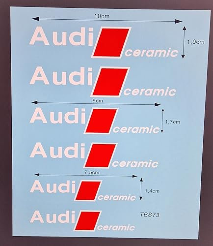 White car Brake Calipers Stickers Compatible with Audi Ceramic Caliper TBS73