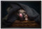 Pixxprint Süßer Mops unter der Decke Leinwandbild 60x40 cm im Bilderahmen, Wandbild, Schattenfugenrahmen, Kein Poster
