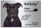 Pitbull-Videoüberwachung-Hund-Schild-Hundeschild-300 x 200 x 3 mm-Aluminium Edelstahloptik-Hunde-Tierschild-Warnschild-Hinweisschild (133-24 Alu.-silber 30 x 20 cm mit Löcher)
