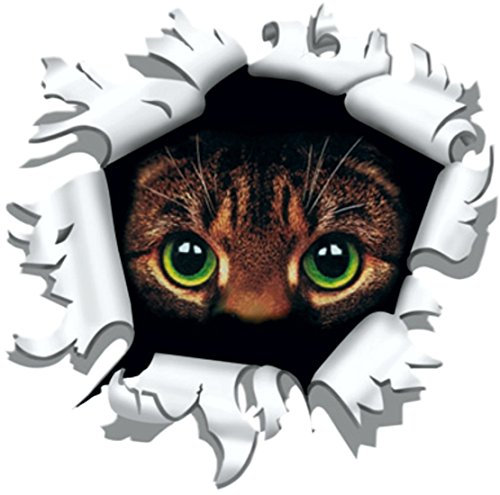 carstyling XXL Aufkleber Einschussloch 170 mm Motiv Katze ~~~~~ schneller Versand innerhalb 24 Stunden ~~~~~