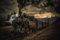LOKOMOTIVE Fototapete VLIES-250x186 cm (6418A)-Oldtimer Autos Zug Eisenbahn Design Fotokunst Wandtapete-Inkl. Kleister-Vliestapete Bild Dekoration Wand-Dekor Moderne Motiv-Tapete Panorama Poster XXL