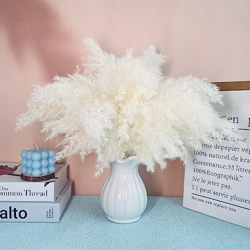 Pampasgras Getrocknet 10pcs Natürliche Trockenblumen Deko DIY Trockene Blüten Strauß,Pampasgras-Bouquet Schilfblume Deko Ideal for Boho Wohnzimmer-Schlafzimmer-und Vasen (LZGSGO-0108)