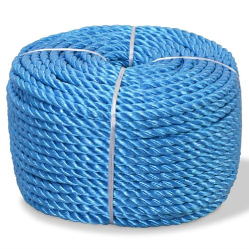 LAPOOH Corde torsadée Polypropylène 10 mm 100 m Bleu,Corde en Nylon De,Parachute Cord