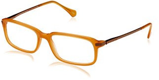 Brillen Ermenegildo Zegna VZ3519 06DS 53/17/